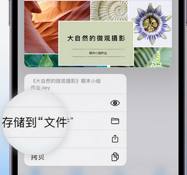 舟山apple维修中心分享iPhone文件应用中存储和找到下载文件