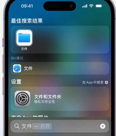 舟山apple维修中心分享iPhone文件应用中存储和找到下载文件 