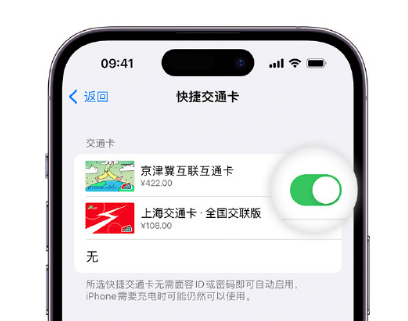 舟山apple维修点分享iPhone上更换Apple Pay快捷交通卡手绘卡面 