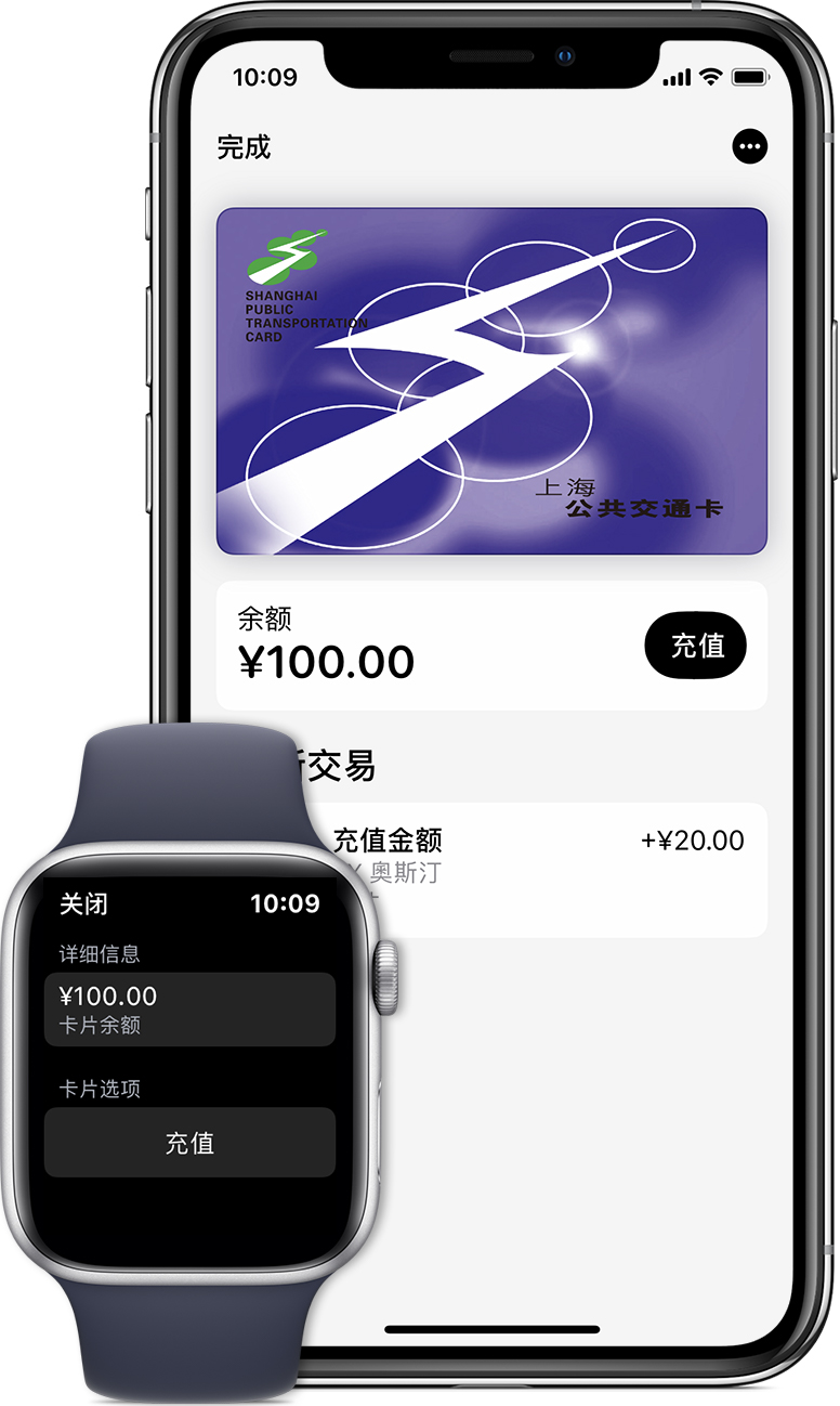 舟山苹果手机维修分享:用 Apple Pay 刷交通卡有哪些优势？如何设置和使用？ 