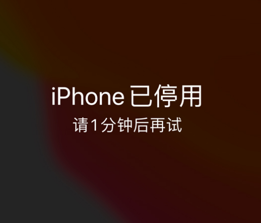 舟山苹果手机维修分享:iPhone 显示“不可用”或“已停用”怎么办？还能保留数据吗？ 