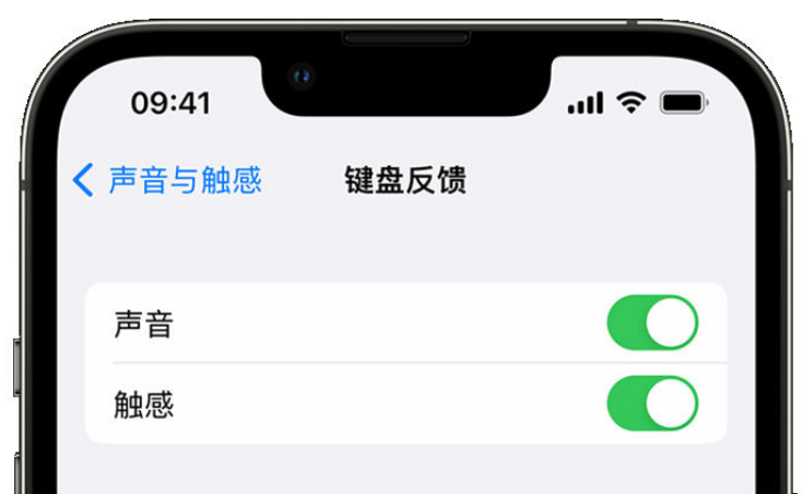 舟山苹果手机维修分享iPhone 14触感键盘使用方法 