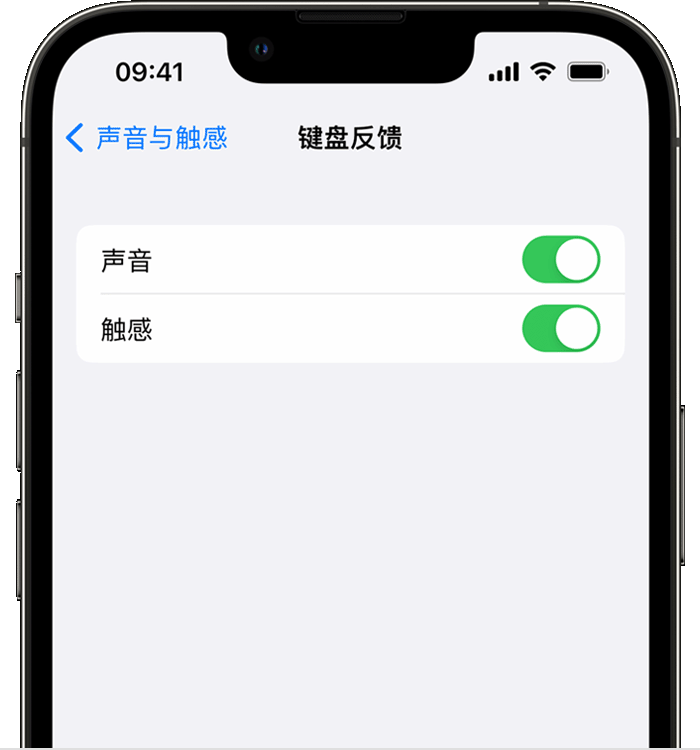 舟山苹果14维修店分享如何在 iPhone 14 机型中使用触感键盘 