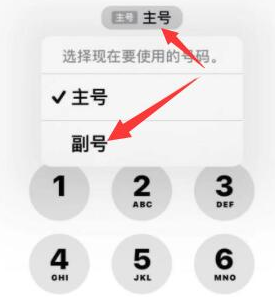 舟山苹果14维修店分享iPhone 14 Pro Max使用副卡打电话的方法 