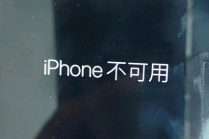 舟山苹果服务网点分享锁屏界面显示“iPhone 不可用”如何解决 