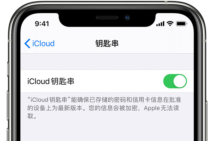 舟山苹果手机维修分享在 iPhone 上开启 iCloud 钥匙串之后会储存哪些信息 