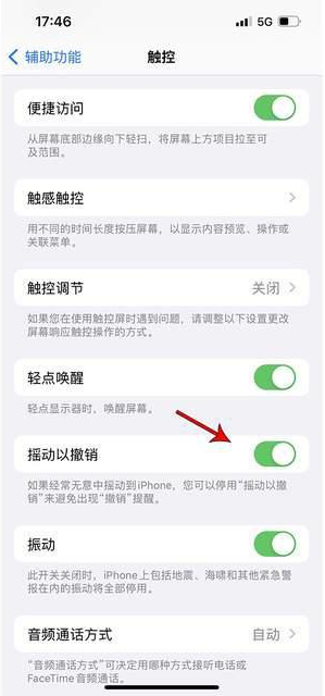 舟山苹果手机维修分享iPhone手机如何设置摇一摇删除文字 