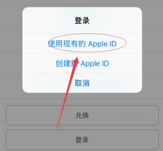 舟山苹果手机维修分享两台iPhone设备可以同时登录一个Apple ID吗 