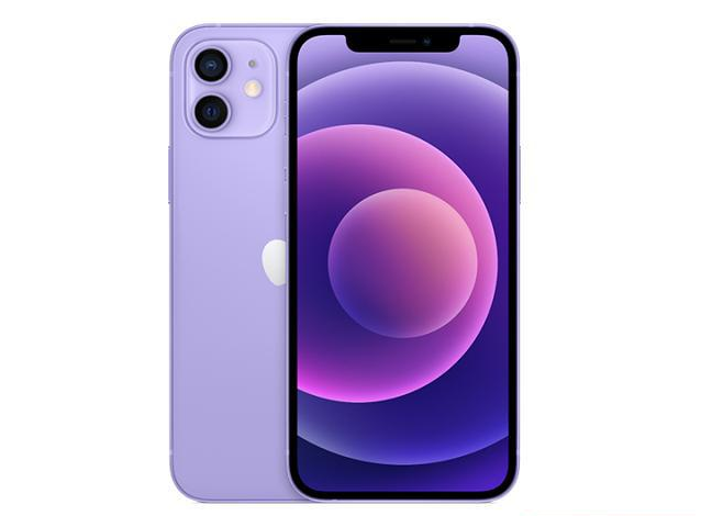 舟山苹果手机维修分享现阶段要不要入手紫色版iPhone12 