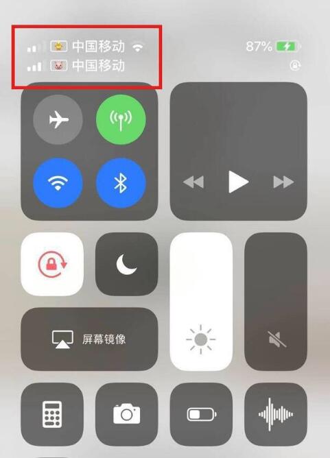 舟山苹果手机维修分享为 iPhone 12 双卡设置标签 
