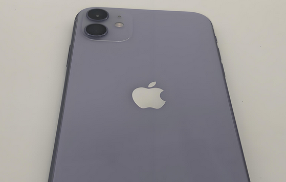 舟山苹果11系统维修分享iPhone11手机系统崩溃无法开机如何解决 